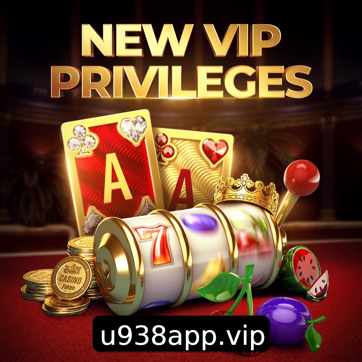 Programa VIP U938